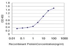 Anti-PCDHGC3 Mouse Monoclonal Antibody [clone: 3A1]