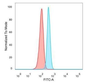 Flow cytometric analysis of PFA fixed HeLa cells using Anti-NF-kB p65 Antibody [PCRP-RELA-2B6] followed by Goat Anti-Mouse IgG (CF&#174; 488) (Blue). Isotype Control (Red).