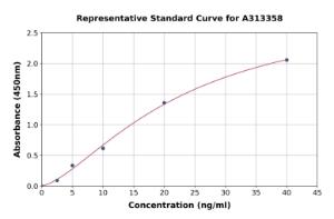 Representative standard curve for human OPN5 ELISA kit (A313358)