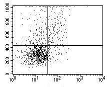 Anti-Macrophage Inflammatory Protein 3 alpha Rat Monoclonal Antibody (APC (Allophycocyanin)) [clone: 11D83]