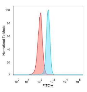 Flow cytometric analysis of PFA-fixed HeLa cells using Anti-MiTF Antibody [PCRP-MITF-1D9] followed by Goat Anti-Mouse IgG (CFand#174; 488) (Blue). Isotype Control (Red)