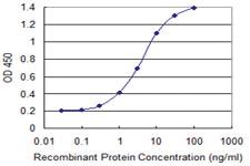 Anti-PCDH8 Mouse Monoclonal Antibody [clone: 1C5]