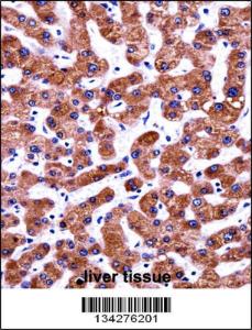 Anti-CIAO1 Rabbit Polyclonal Antibody (FITC (Fluorescein Isothiocyanate))