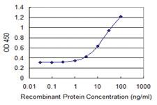 Anti-LONRF2 Mouse Monoclonal Antibody [clone: 1C7]