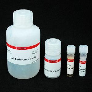 Caspase-3 DEVD-R110 fluorometric HTS assay kit