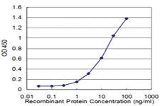 Anti-PCK1 Mouse Monoclonal Antibody [clone: 3B12]