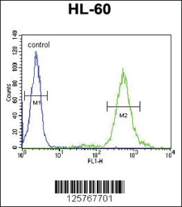 Anti-T131L Rabbit Polyclonal Antibody