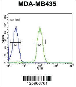 Anti-CC50B Rabbit Polyclonal Antibody