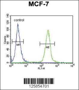 Anti-FA20A Rabbit Polyclonal Antibody