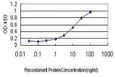 Anti-APOM Mouse Monoclonal Antibody [clone: 1F10]