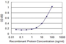 Anti-APOM Mouse Monoclonal Antibody [clone: 3C7]