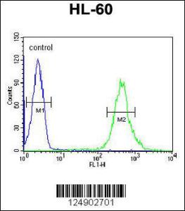 Anti-CRIP1 Rabbit Polyclonal Antibody (FITC (Fluorescein Isothiocyanate))