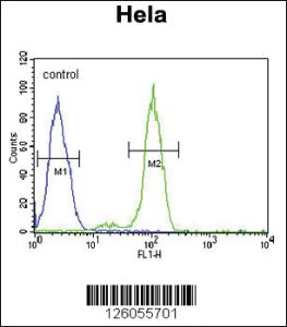 Anti-PTPLB Rabbit Polyclonal Antibody