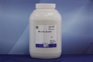 Bovine Serum Albumin (BSA), Fraction V