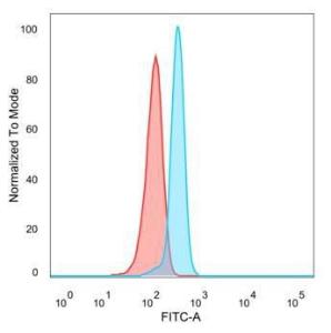 Flow cytometric analysis of PFA fixed HeLa cells using Anti-SPI-C Antibody [PCRP-SPIC-2C5] followed by Goat Anti-Mouse IgG (CFand#174; 488) (Blue). Unstained cells (red)