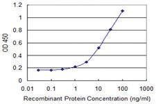 Anti-APOM Mouse Monoclonal Antibody [clone: 2A8]