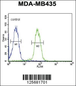 Anti-SMPDL3A Rabbit Polyclonal Antibody