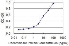 Anti-APOM Mouse Monoclonal Antibody [clone: 1A2]