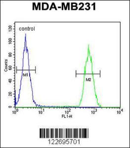 Anti-CLTA Rabbit Polyclonal Antibody