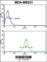 Anti-TSHB Rabbit Polyclonal Antibody (Biotin)