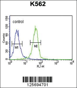 Anti-EFR3A Rabbit Polyclonal Antibody