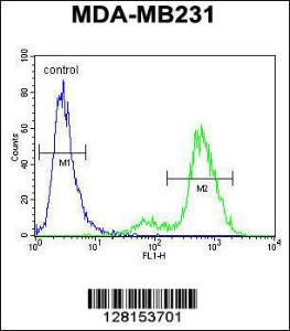 Anti-SYCE2 Rabbit Polyclonal Antibody (AP (Alkaline Phosphatase))