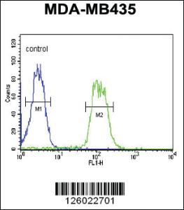 Anti-ERRFI1 Rabbit Polyclonal Antibody