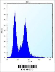 Anti-PI15 Rabbit Polyclonal Antibody