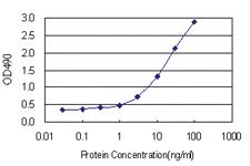 Anti-PCTP Antibody Pair