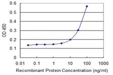 Anti-PDIA6 Mouse Monoclonal Antibody [clone: 3B4]