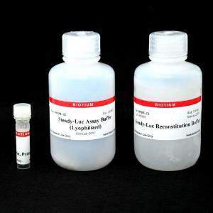 Steady-Luc™ firefly HTS assay kit (lyophilised)