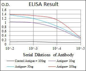 Anti-MBP Mouse Monoclonal Antibody [clone: 2H9]