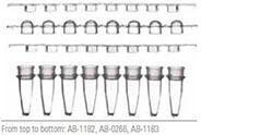 PCR tube and cap strips