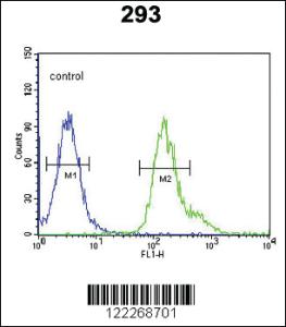 Anti-PMPCB Rabbit Polyclonal Antibody