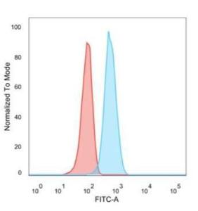 Flow cytometric analysis of MCF-7 cells using Anti-CD195 Antibody [12D1] followed by Goat Anti-Mouse IgG (CF and #174; 488) (Blue). Isotype Control (Red)