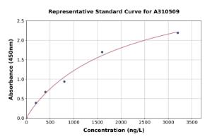 Representative standard curve for Human PDLIM1/CLP36 ELISA kit (A310509)