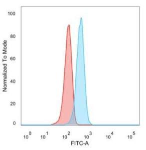 Flow cytometric analysis of U87 cells using Anti-CD195 Antibody [12D1] followed by Goat Anti-Mouse IgG (CF and #174; 488) (Blue). Isotype Control (Red)