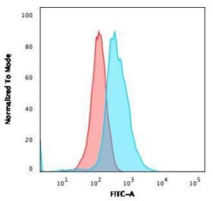 Antibody anti-CD1A O10 bside 100 µg