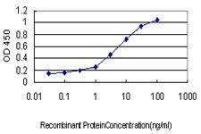 Anti-CLDN1 Mouse monoclonal antibody [clone: 1C5-D9]