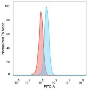 Flow cytometric analysis of PFA fixed HeLa cells using Anti-CD195 Antibody [12D1] followed by Goat Anti-Mouse IgG (CF and #174; 488) (Blue). Isotype Control (Red)