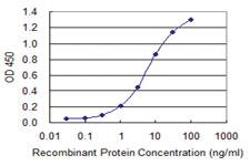 Anti-RNF123 Mouse Monoclonal Antibody [clone: 3F8]