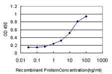 Anti-PLEK Mouse Monoclonal Antibody [clone: 6E3]