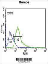 Anti-ARHGAP30 Rabbit Polyclonal Antibody