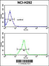 Anti-TOB1 Rabbit Polyclonal Antibody (AP (Alkaline Phosphatase))