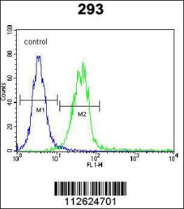 Anti-CLEC11A Rabbit Polyclonal Antibody (APC (Allophycocyanin))