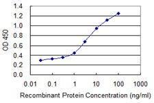 Anti-COL1A1 Mouse Monoclonal Antibody [clone: 3G3]