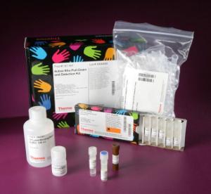 Active GTPase pull-down and detection kits