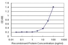 Anti-GC Polyclonal Antibody Pair