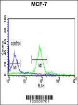 Anti-Histone H2A/s Rabbit Polyclonal Antibody (AP (Alkaline Phosphatase))