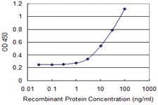 Anti-BHLHA15 Mouse Monoclonal Antibody [clone: 1E7]